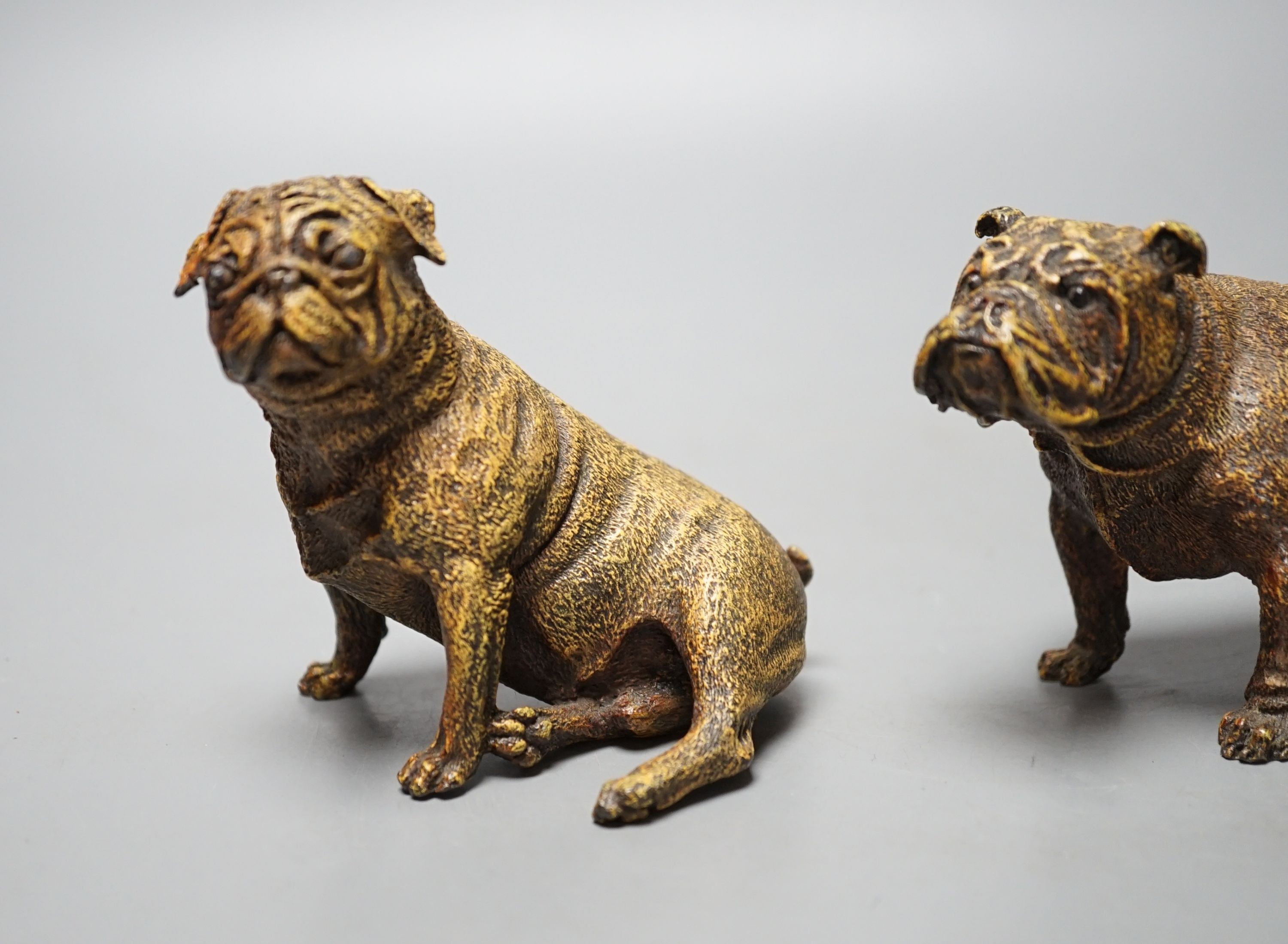 Two cold painted bronzes, a pug and a bulldog, with applied discs reading ‘GESCHUTZT’. 14cm